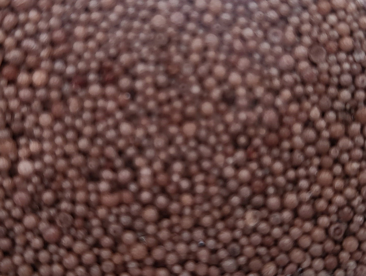 Chocolat 250g Les Allumées
